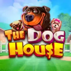 Dog house